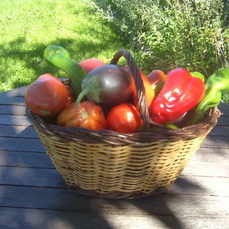 Masia La Canal * Gombren